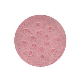 12004 Glowing Pink Pearl Dust bulina 2